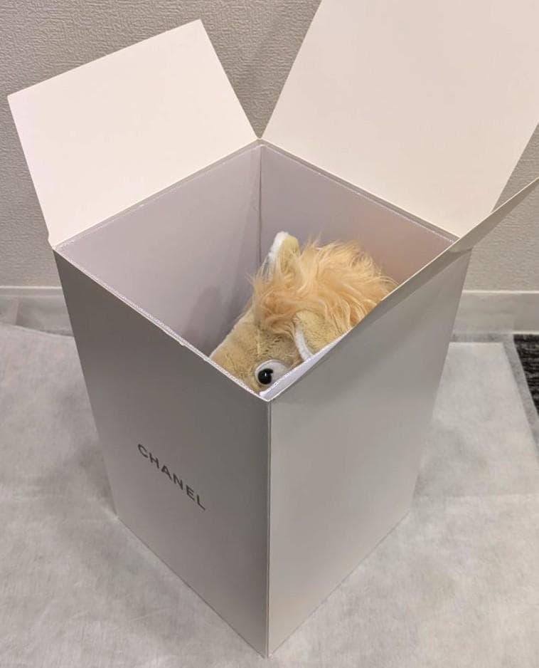 CHANEL シャネル ノベルティ ココ クラッシュ・ザ・ライオン ぬいぐるみ