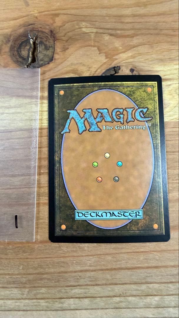 実物提示教育/Show and Tell ジャッジ褒賞 Foil 英語 MTG
