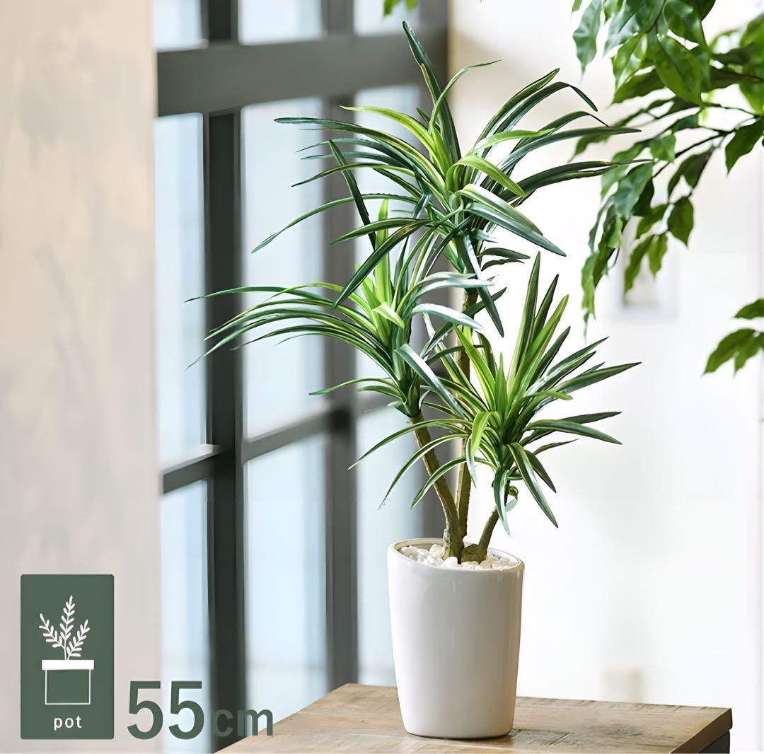 光触媒　人工観葉植物　ウォールグリーン　フェイクグリーン　コンクリユッカ