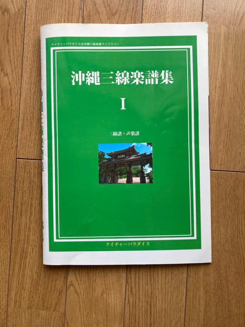 沖縄三線 ヘビ皮 3弦 手作り　ケース付き バチ付き 教室購入品