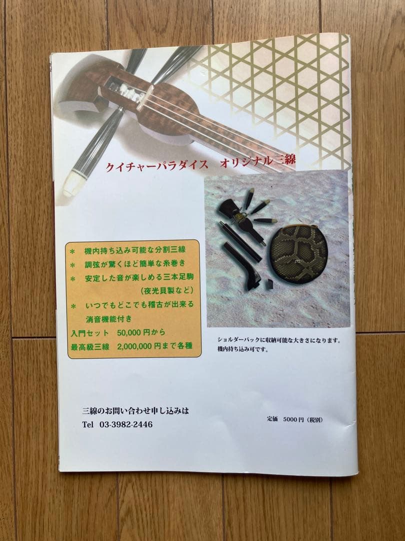 沖縄三線 ヘビ皮 3弦 手作り　ケース付き バチ付き 教室購入品