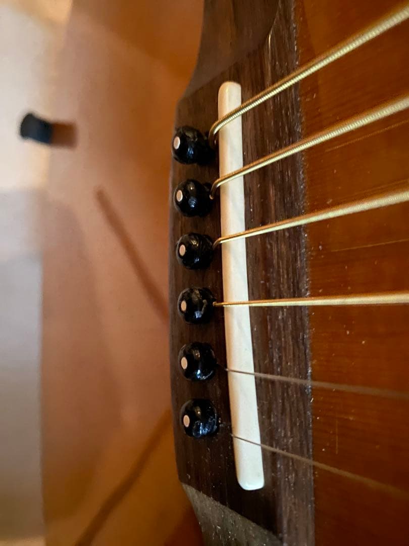 Blue Ridge BR-140 オール単板
