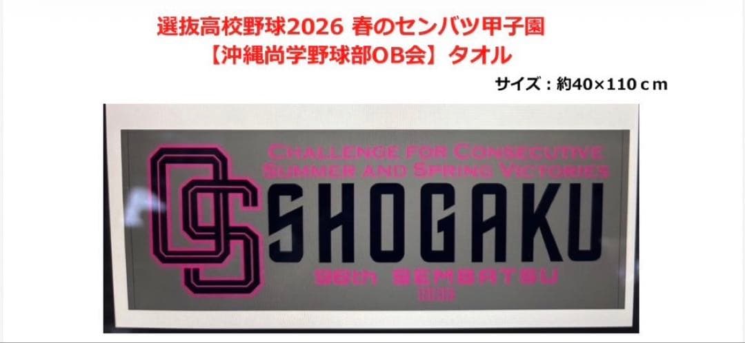 2026 春のセンバツ甲子園 Tシャツ3L➕タオルセット