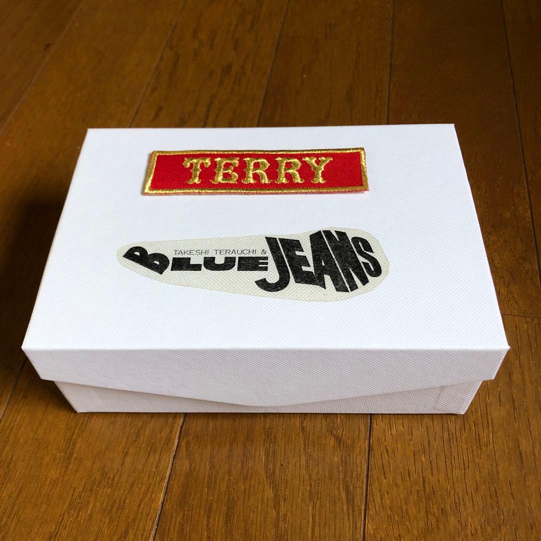 Terry&blue jeans(記念ピック)+寺内関連ピック激レア品