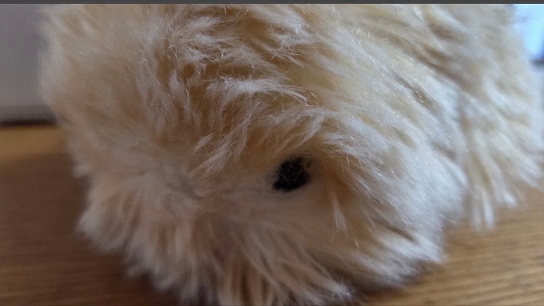 モフリン