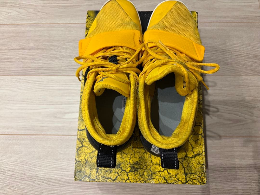 NIKE PG2.5EP ポールジョージ