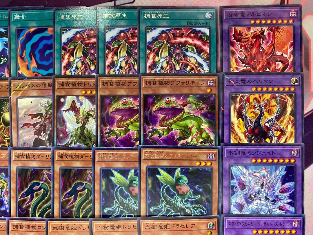 新規採用　遊戯王　烙印捕食植物　プレデタープランツ　本格構築済みデッキ　四天の龍