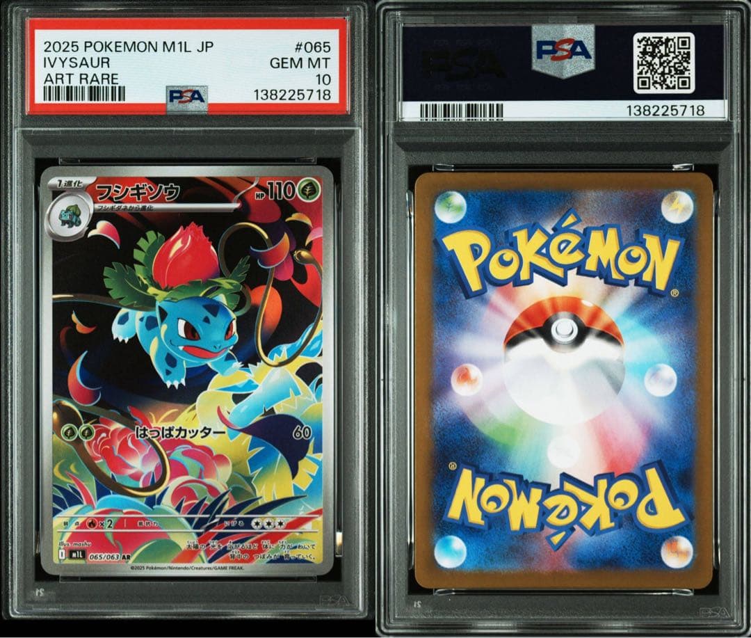 【PSA10 4連番】フシギダネ フシギソウ メガフシギバナ メガルカリオ