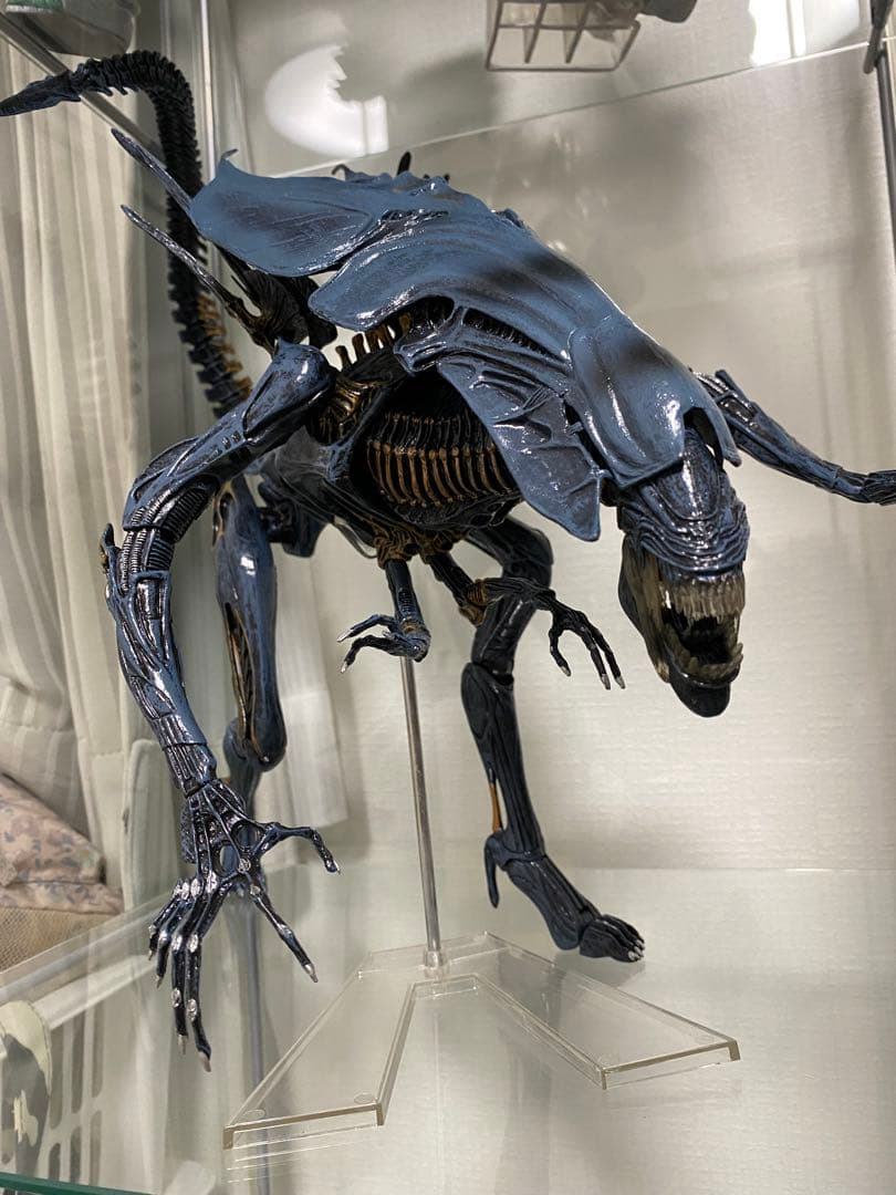 NECA ネカ クイーン エイリアン AVP プレデター