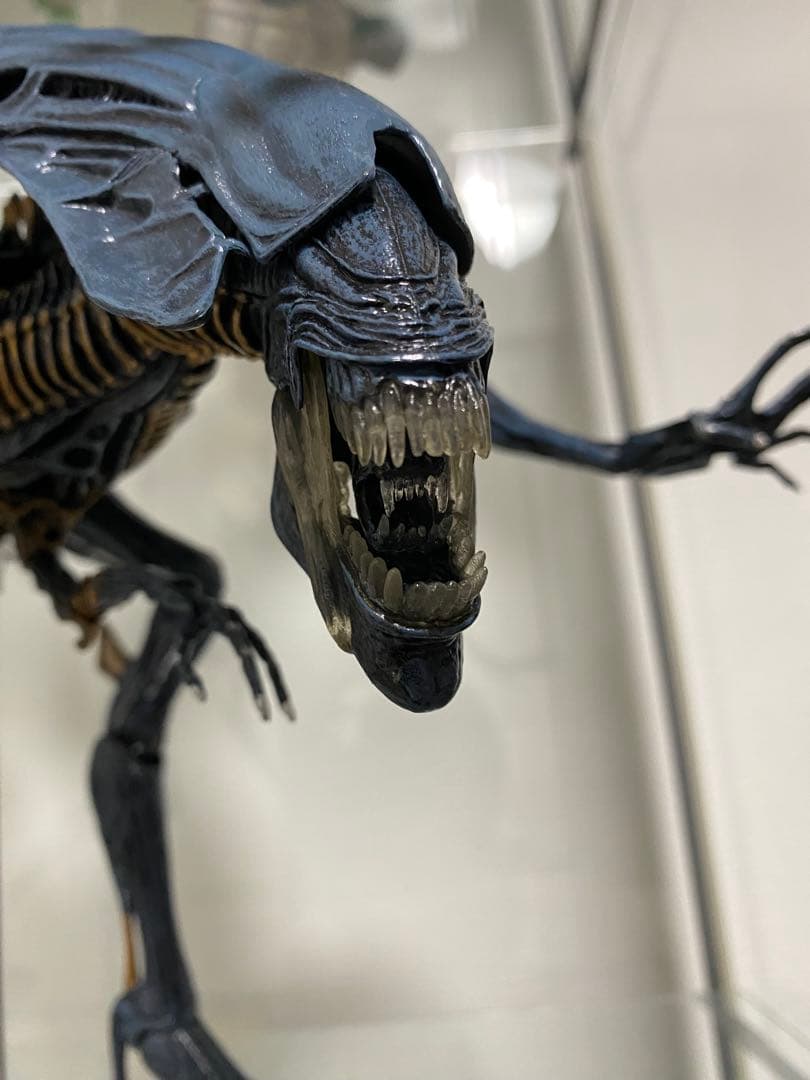 NECA ネカ クイーン エイリアン AVP プレデター