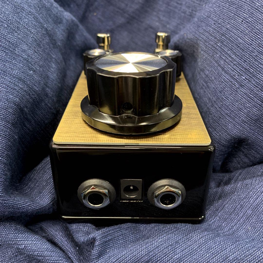 ギター Fjord Fuzz Odin V3