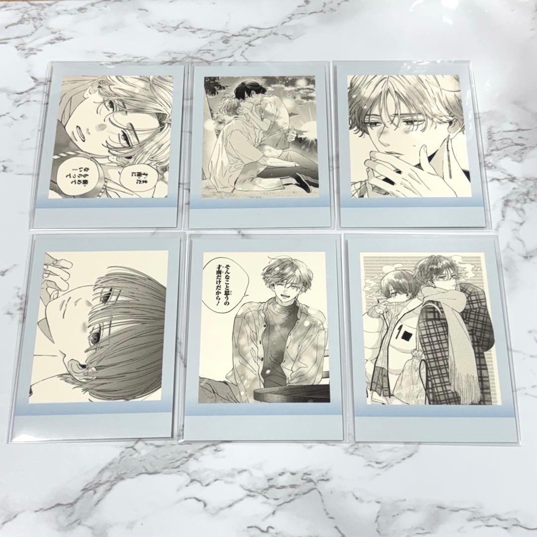 顔だけじゃ好きになりません ぱしゃこれ コンプリートセット