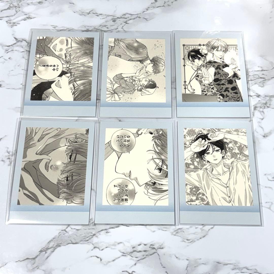 顔だけじゃ好きになりません ぱしゃこれ コンプリートセット