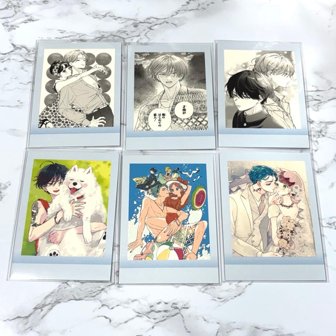 顔だけじゃ好きになりません ぱしゃこれ コンプリートセット