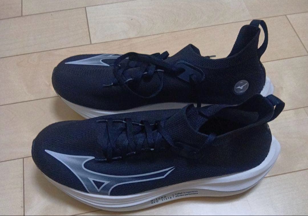 Mizuno ネオビスタ28.0cm ランニングシューズ