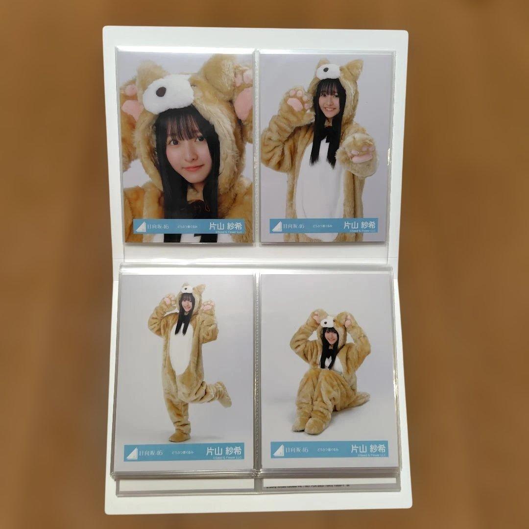 日向坂46 5期生 片山紗希　フォトアルバム＋生写真コンプ10セット