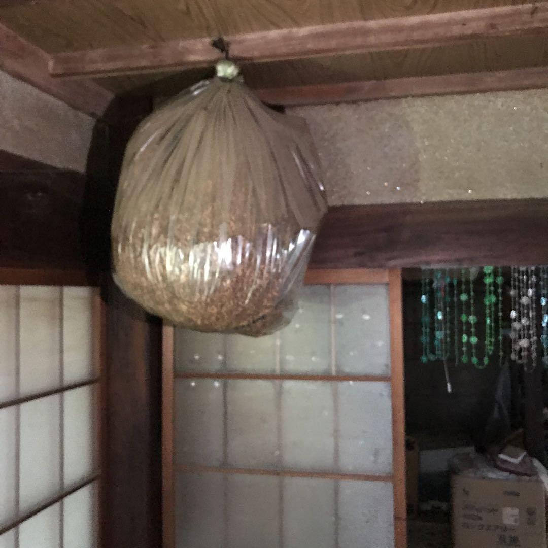 蜂の家