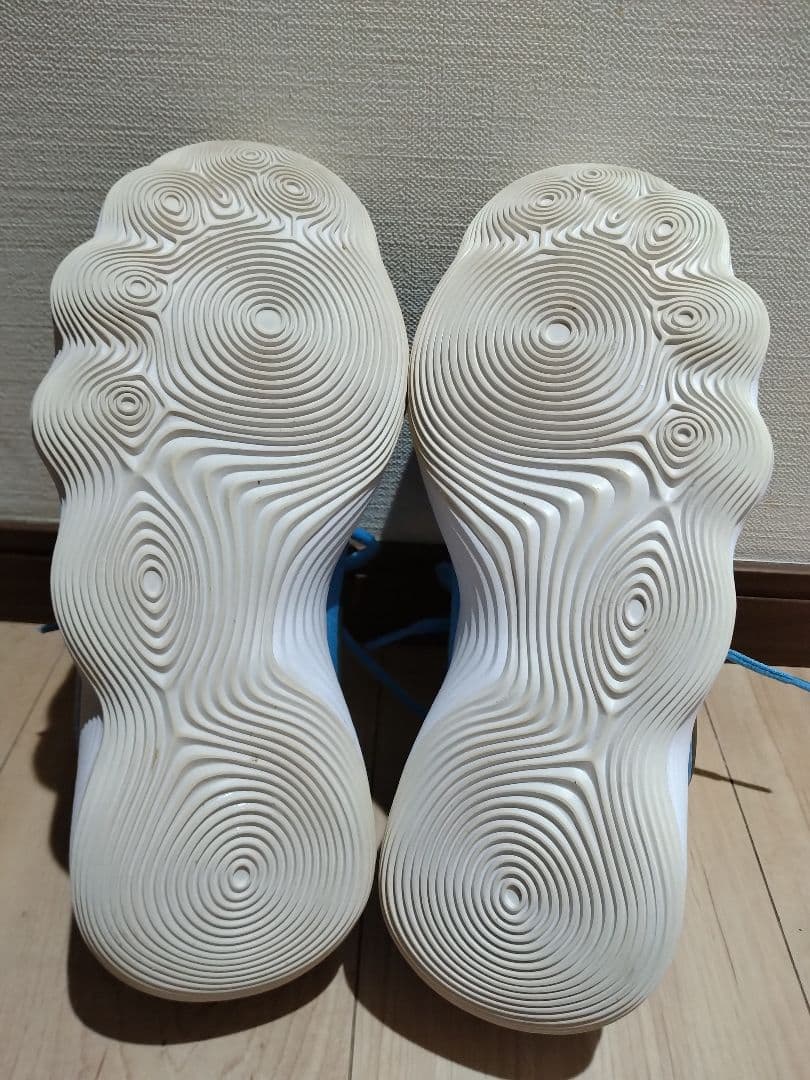 NIKE ナイキ ハイパーダンク2017 low 25cm