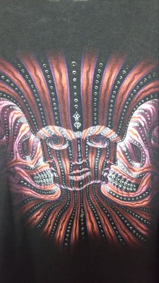 TOOL バンドt バンt tultex タルテックス