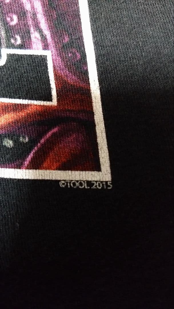 TOOL バンドt バンt tultex タルテックス