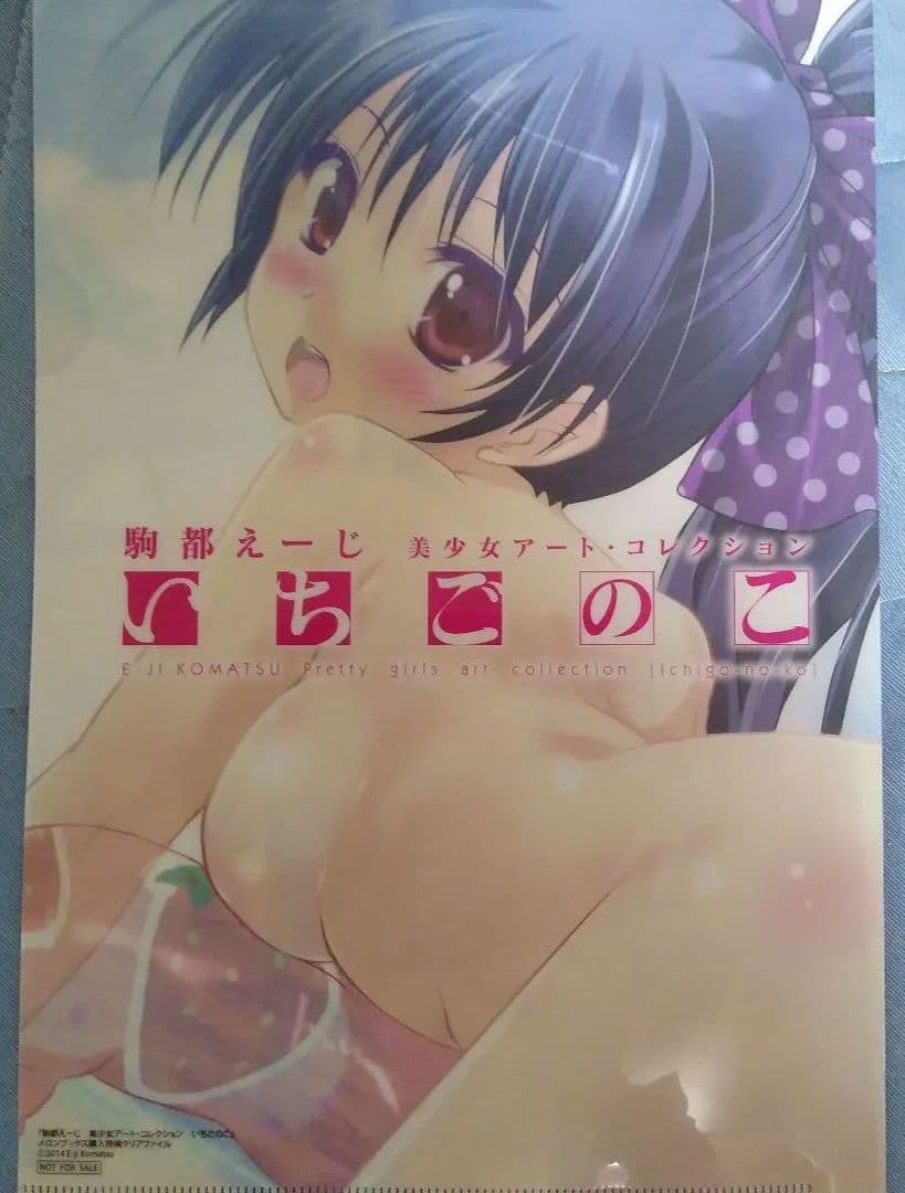 こつえー　駒津_えーじ　クリアファイル＋本セット 非売品あり
