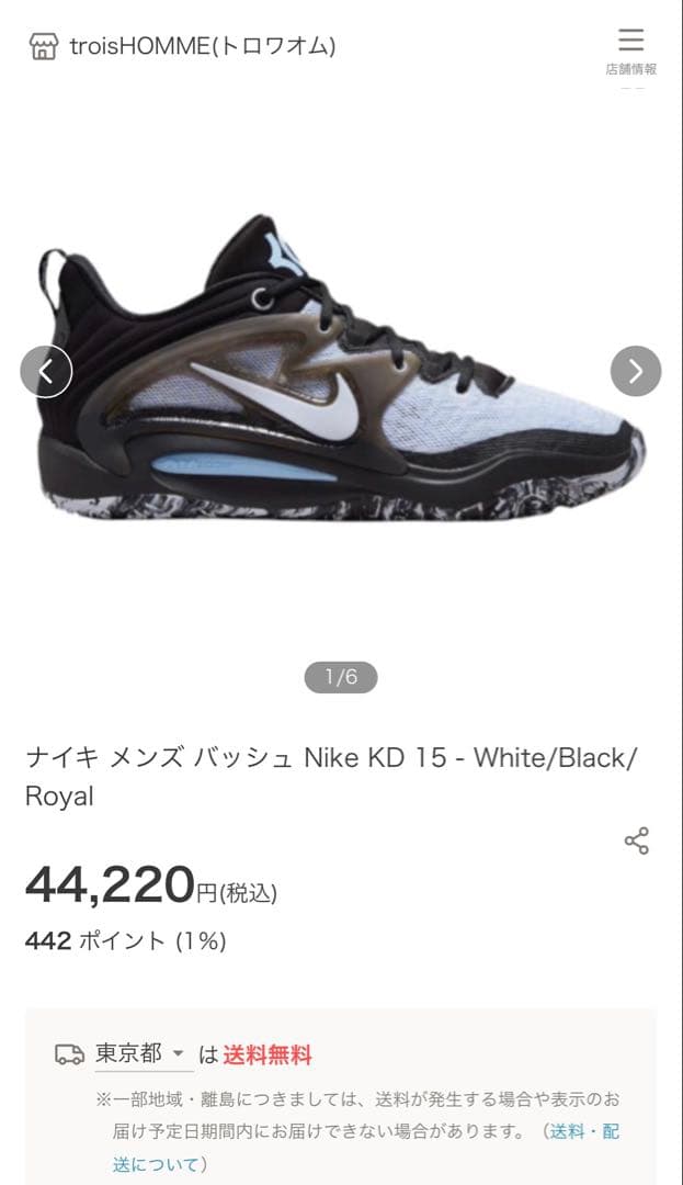 Nike KD15ケビンデュラント バスケットボールシューズ 25.5cm