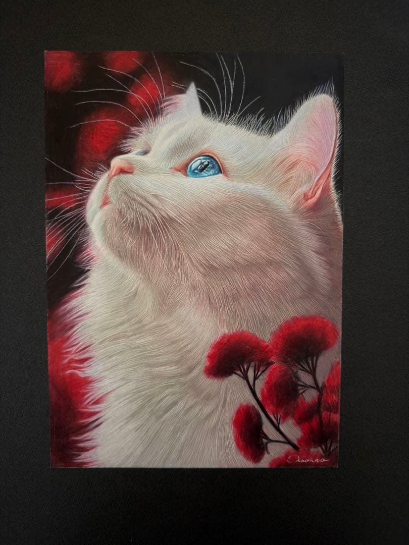 色鉛筆画 A4 蒼い瞳の白猫