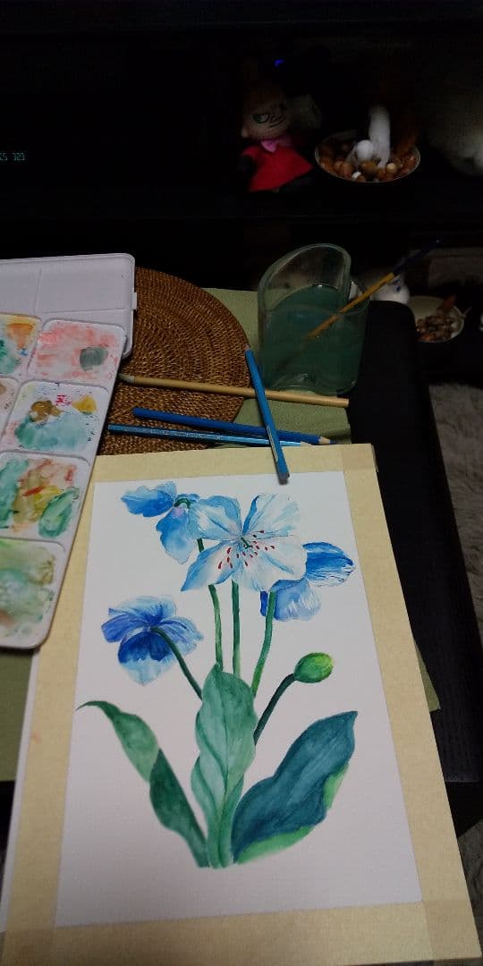 绿绒蒿(离天空最近的花)