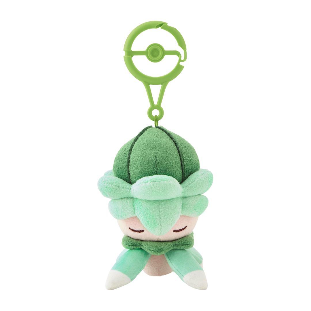 ポケモン フラワーポット みだれざき　セット　香り付きマスコット カリキリ