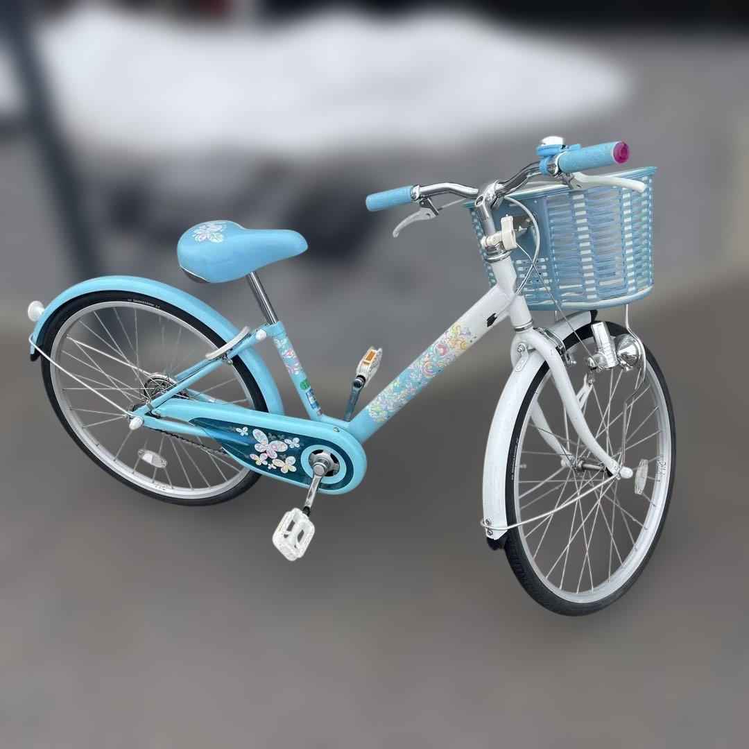 ブリヂストン 20インチ 子供自転車 エコパル Eco Pal 水色系
