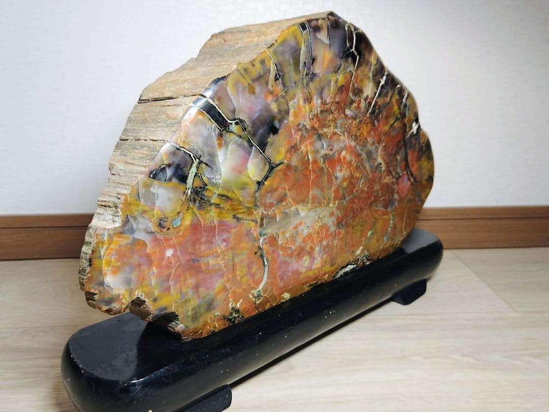 アリゾナ珪化木 11.2kg 碧玉 瑪瑙 原石 鑑賞石 自然石 誕生石 鉱物