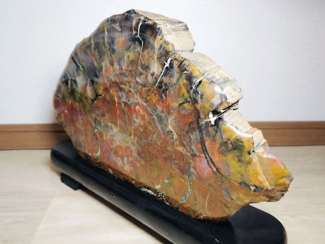 アリゾナ珪化木 11.2kg 碧玉 瑪瑙 原石 鑑賞石 自然石 誕生石 鉱物