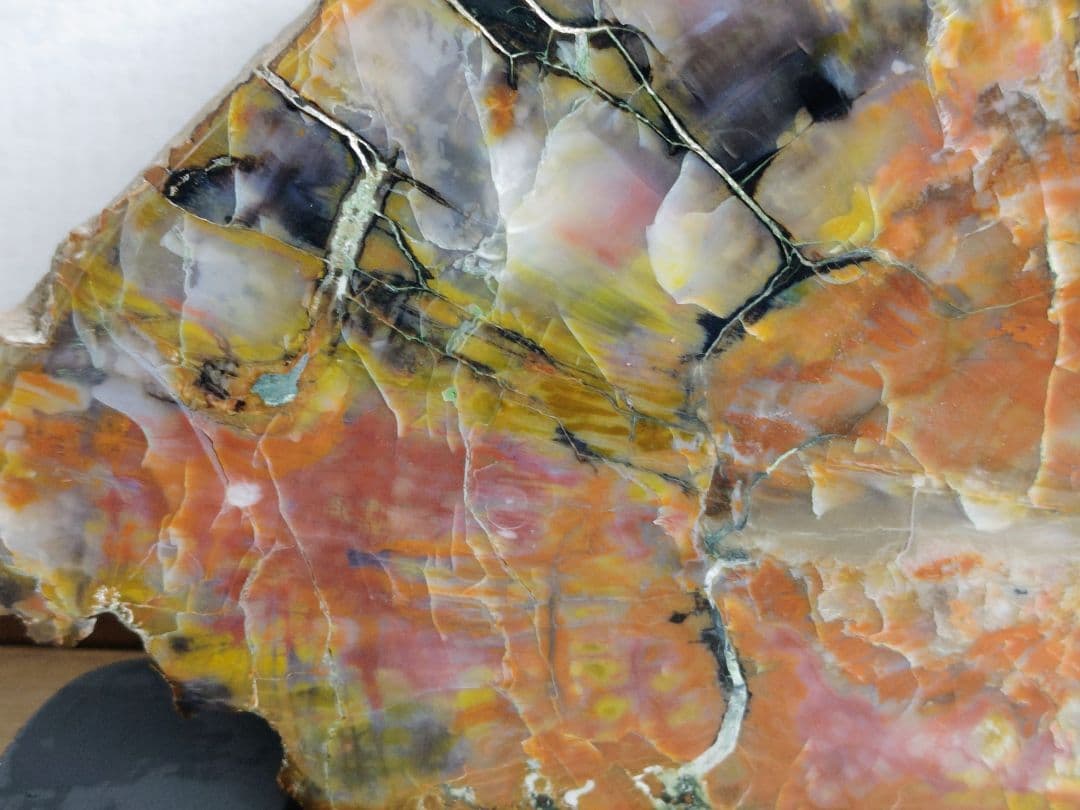 アリゾナ珪化木 11.2kg 碧玉 瑪瑙 原石 鑑賞石 自然石 誕生石 鉱物