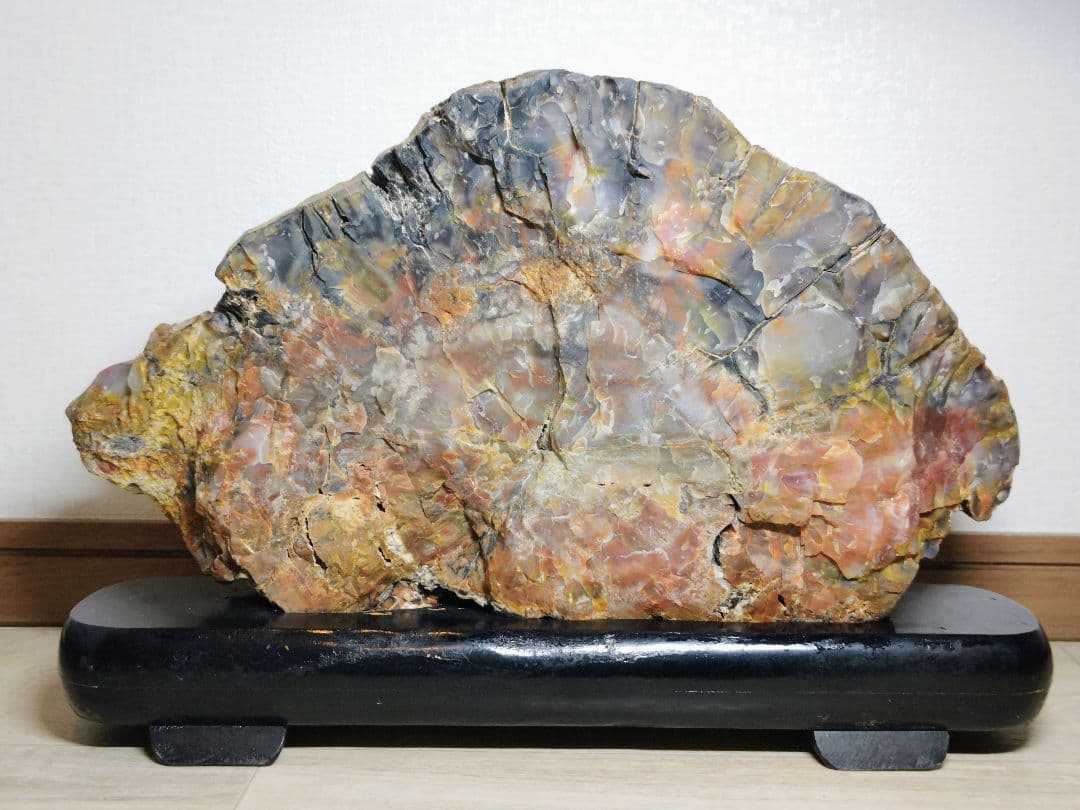 アリゾナ珪化木 11.2kg 碧玉 瑪瑙 原石 鑑賞石 自然石 誕生石 鉱物