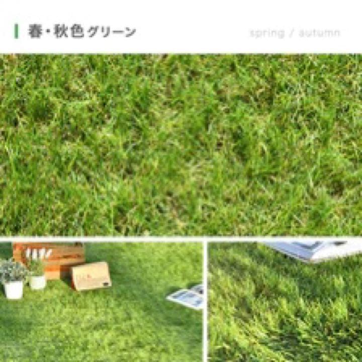 人工芝