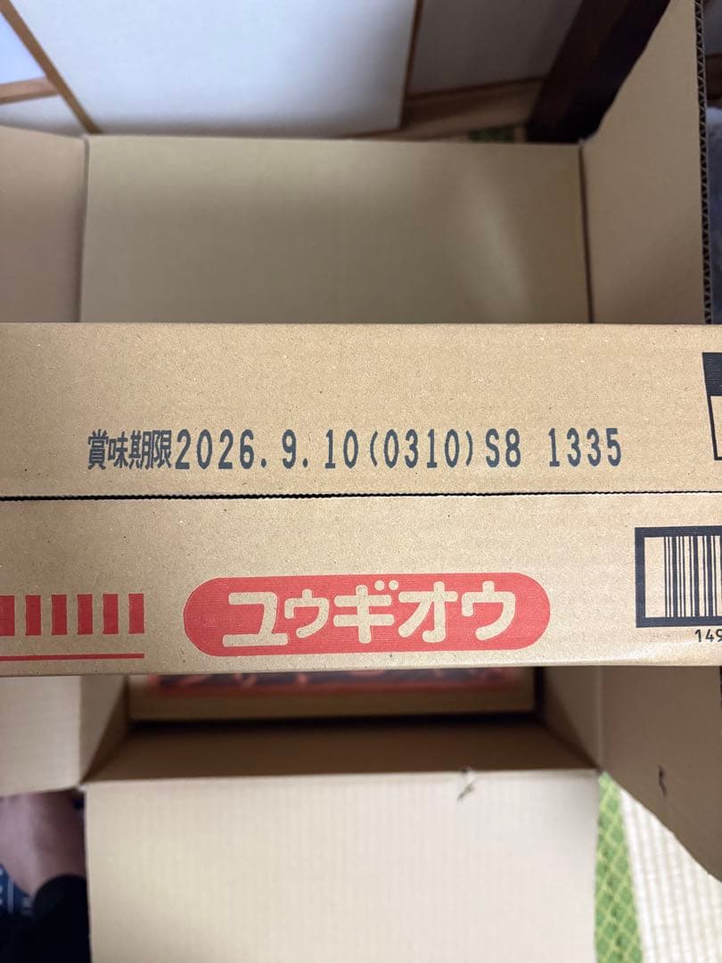 即日発送 遊戯王OCG カップヌードル40食コラボカード2枚付き