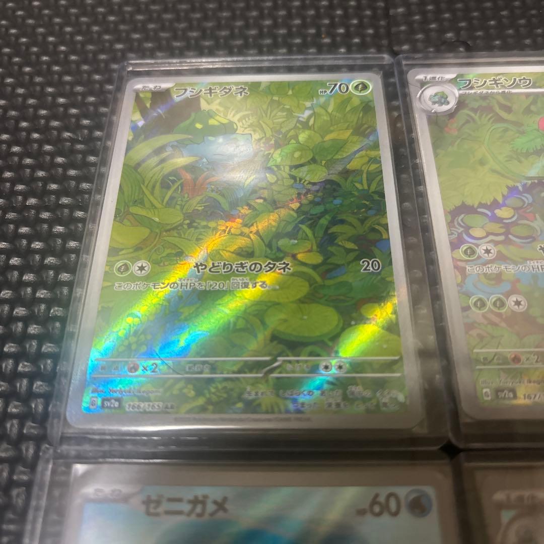 ポケモンカード　カメックスex sar フシギバナex sar 進化ライン
