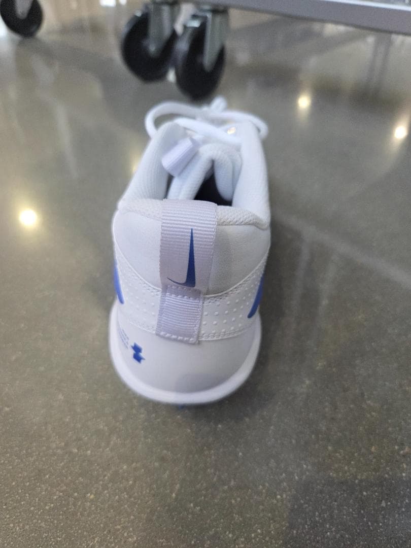 NIKE アルファメナス4 アメフトスパイク 白青 28cm