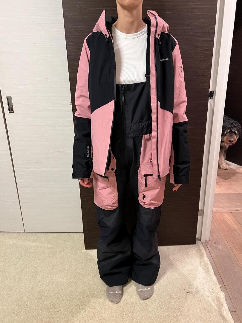 ピークパフォーマンス W Vertical Pro Pants サイズM