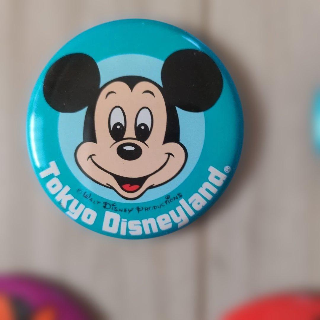 東京ディズニーランド 缶バッジ 10個セット