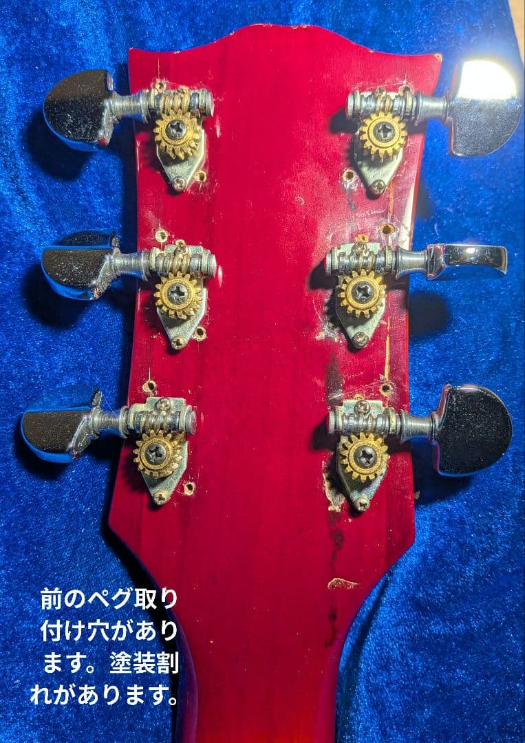 【Fresher】レスポールタイプ 3ピックアップ