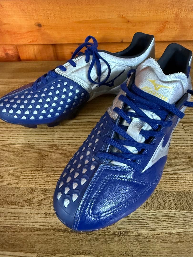 【廃盤モデル】ミズノ ウェーブイグニタス4 25.5cm