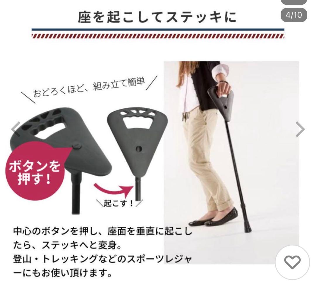 KyotoAUS分　FLIPS STICK