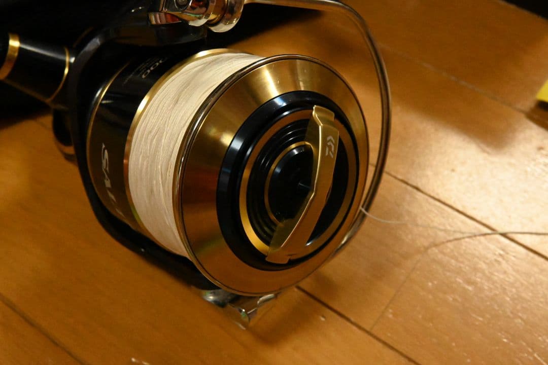 DAIWA　ソルティガ　20000h MAXスプール付き