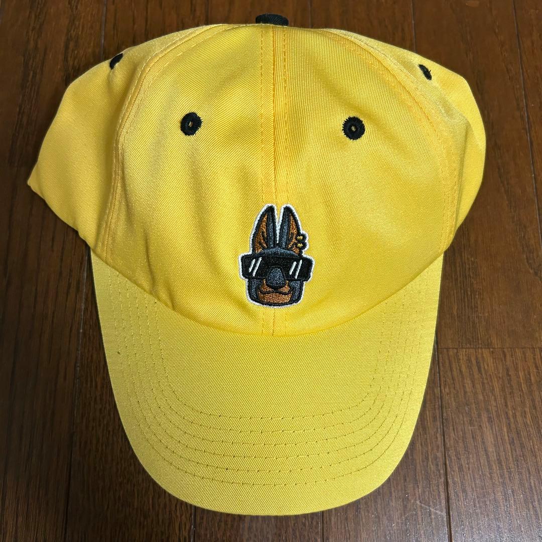 バラ売り可！DOBERMAN INFINITY ライブツアーグッズ3点セット