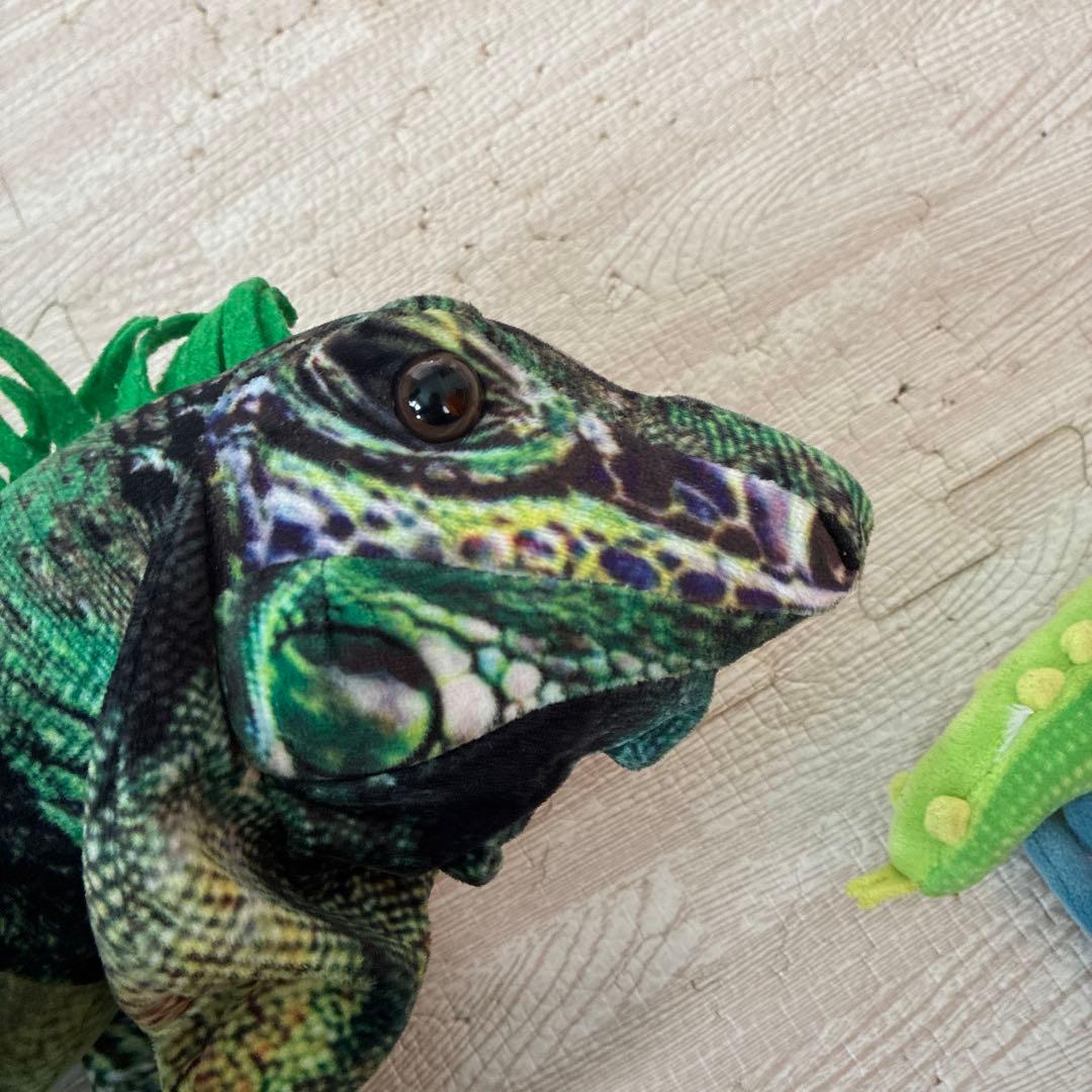 恐竜・ホワイトタイガー・犬・カエルぬいぐるみセット