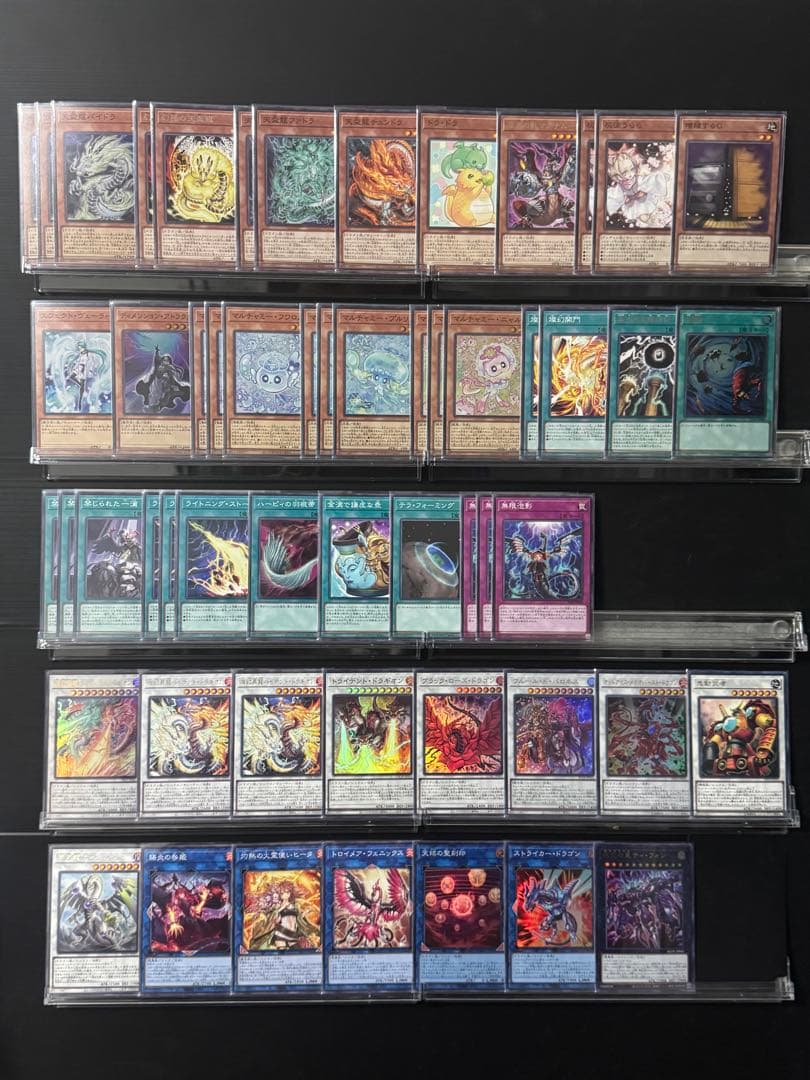 【遊戯王】本格構築 天盃龍
