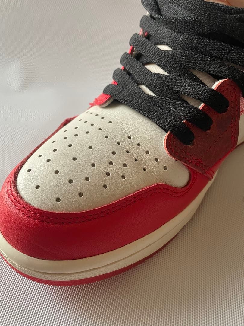 Nike Air Jordan 1 スパイダーマン