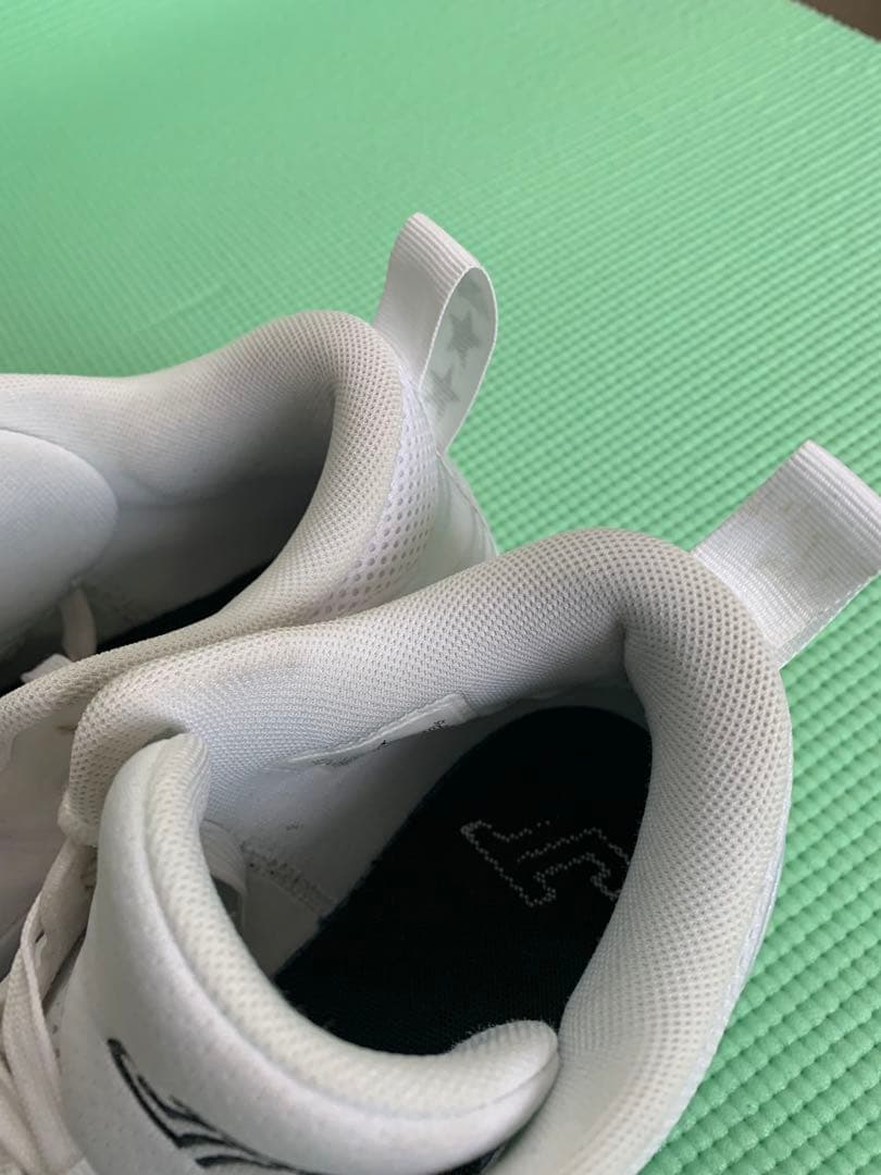 NIKE JORDAN TATUM 3 24.5cm(中古)