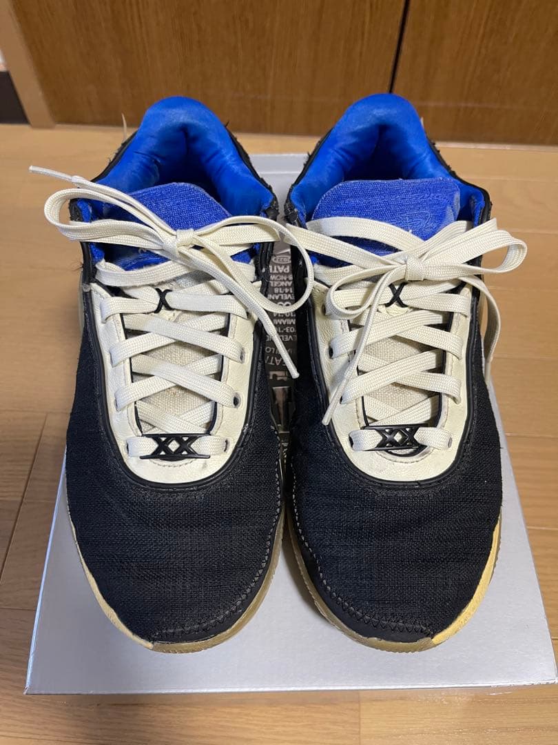 LEBRON XX UN EP レブロン20 24.5cm バッシュ　ナイキ